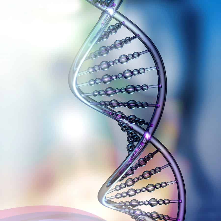Investigación genética